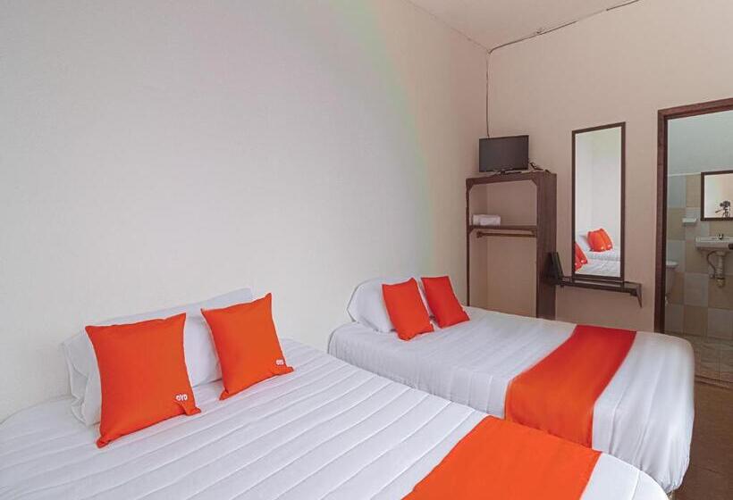 Отель Posada Los Faroles