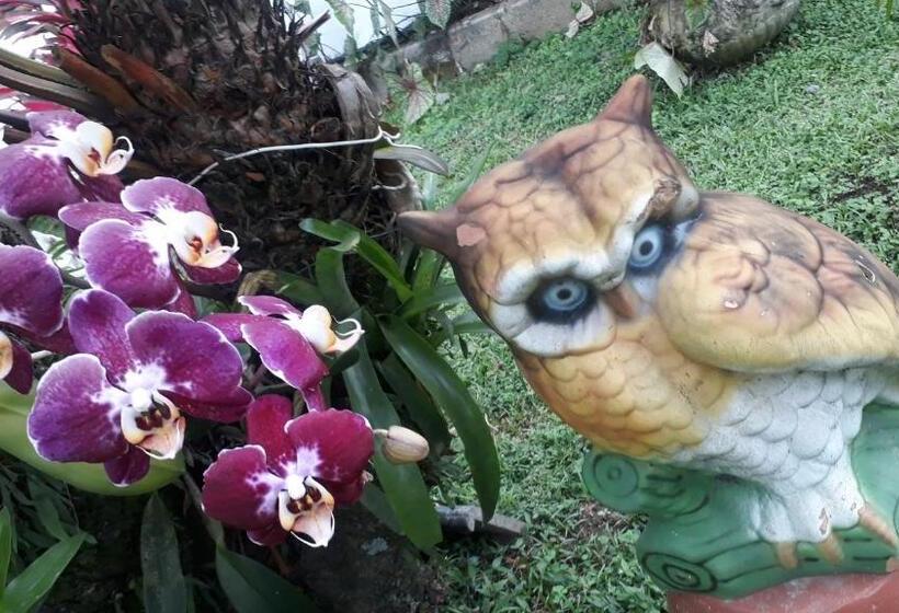 پانسیون Pousada Da Geisa