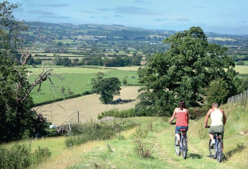 Lomakeskus Trewythen Lodges