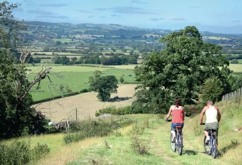 Lomakeskus Trewythen Lodges