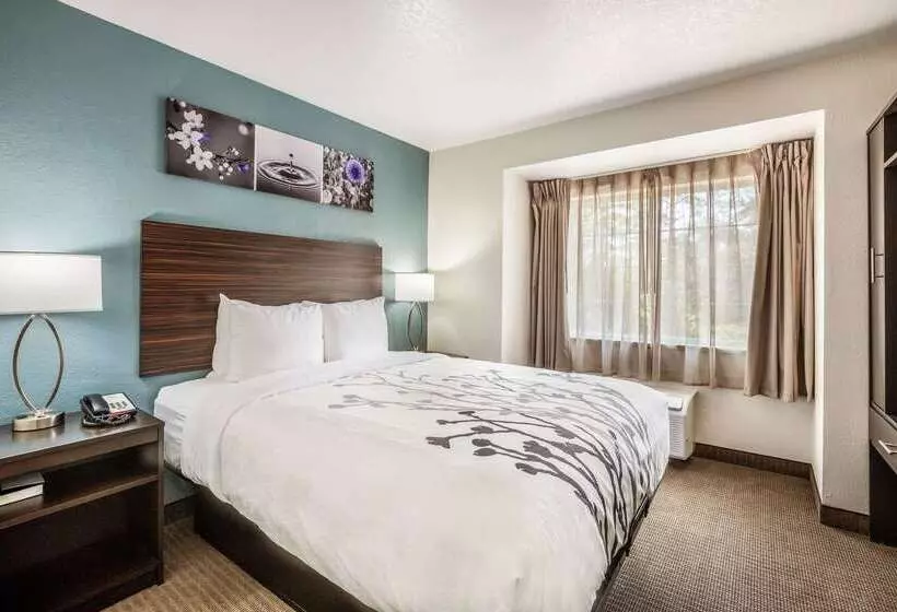 ホテル Sleep Inn & Suites Tallahasseecapitol