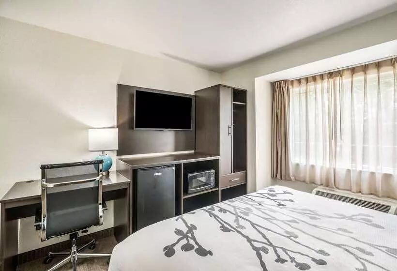 ホテル Sleep Inn & Suites Tallahasseecapitol