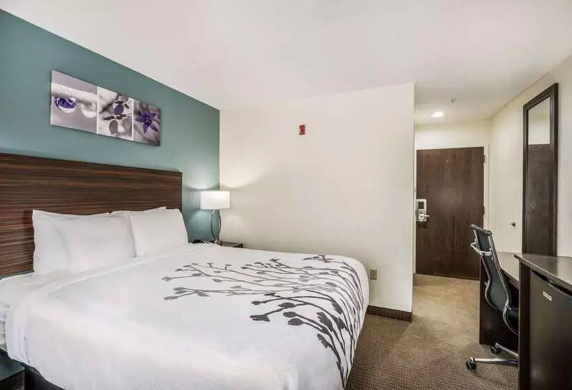 ホテル Sleep Inn & Suites Tallahasseecapitol