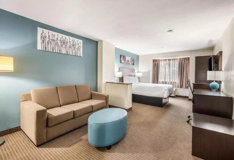 ホテル Sleep Inn & Suites Tallahasseecapitol