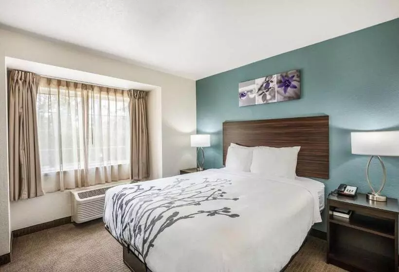 ホテル Sleep Inn & Suites Tallahasseecapitol
