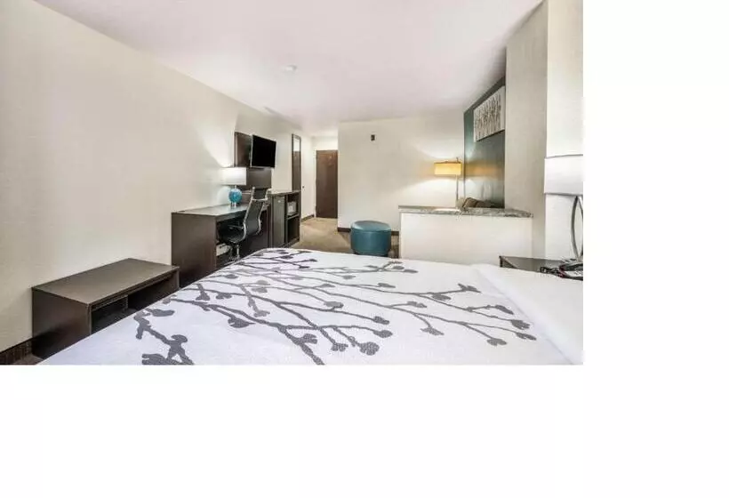 ホテル Sleep Inn & Suites Tallahasseecapitol