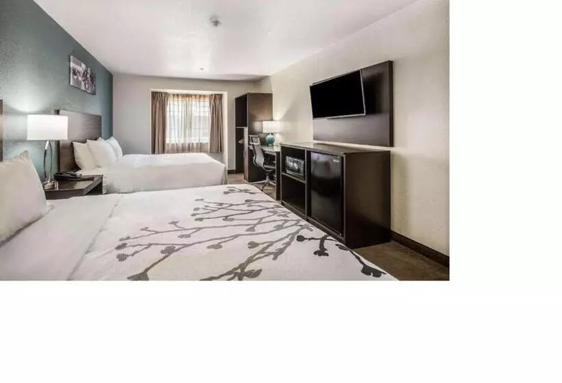 ホテル Sleep Inn & Suites Tallahasseecapitol