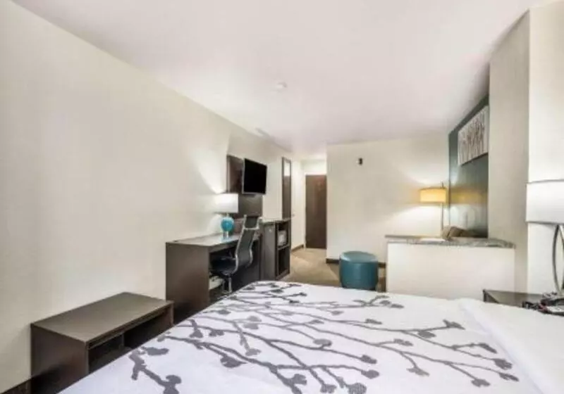 ホテル Sleep Inn & Suites Tallahasseecapitol