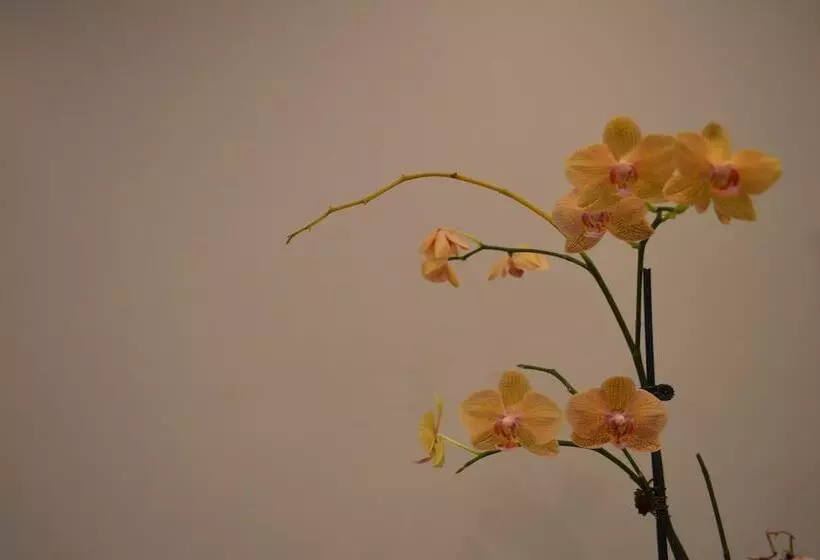 Miami Sun Hotel   Downtown/port Of Miami