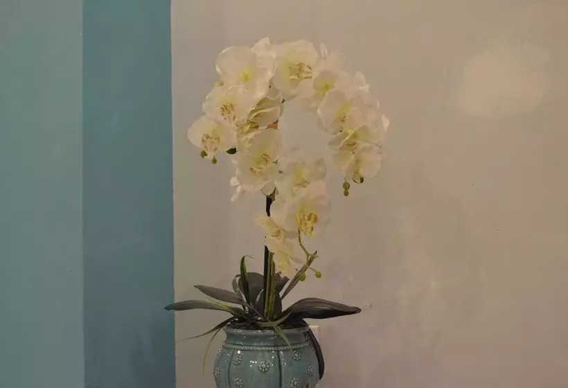 Miami Sun Hotel   Downtown/port Of Miami