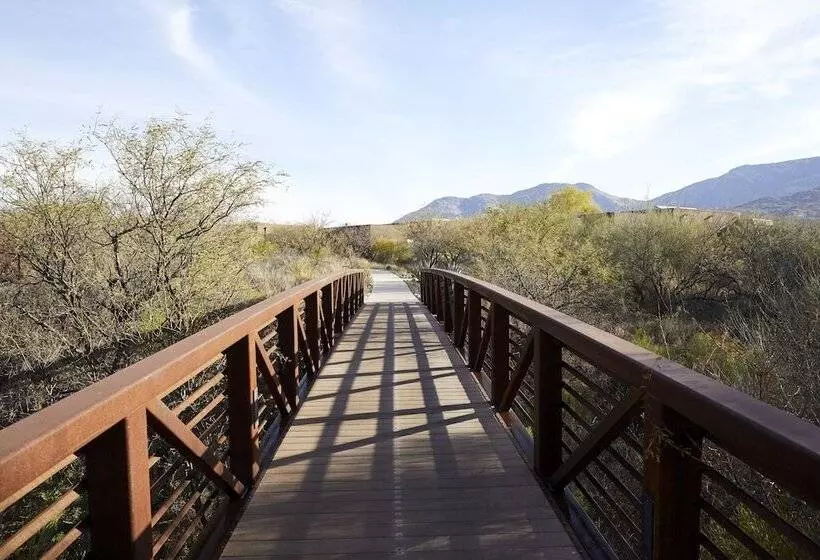 Miraval Resort & Spa   Adults Only All Inclusive