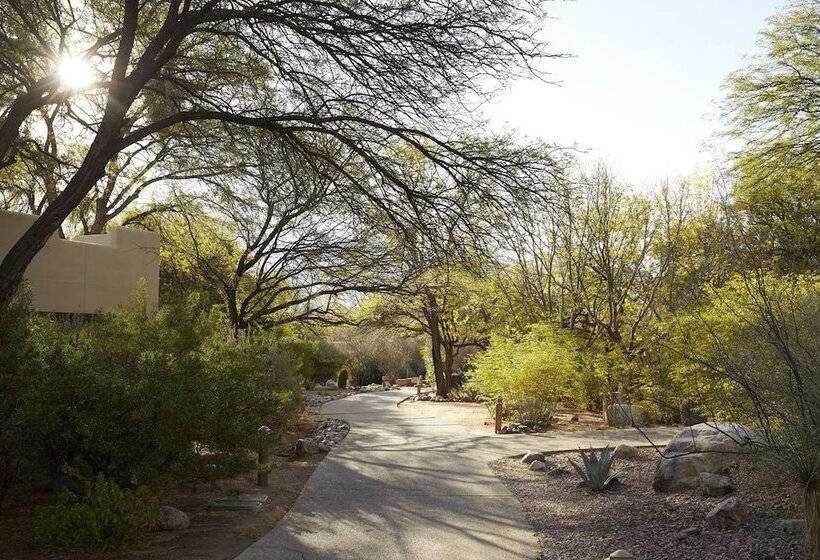 Miraval Resort & Spa   Adults Only All Inclusive