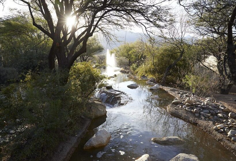 Miraval Resort & Spa   Adults Only All Inclusive