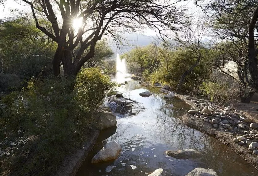 Miraval Resort & Spa   Adults Only All Inclusive