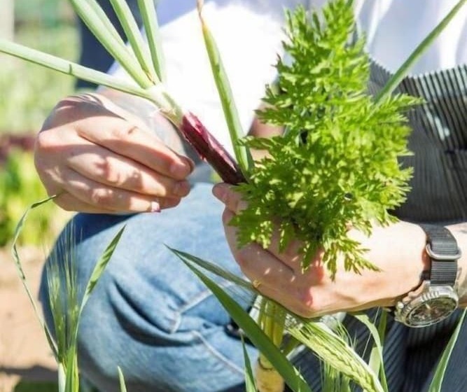 Miraval Resort & Spa   Adults Only All Inclusive