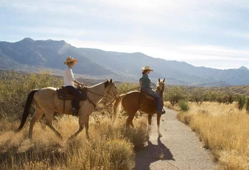 Miraval Resort & Spa   Adults Only All Inclusive