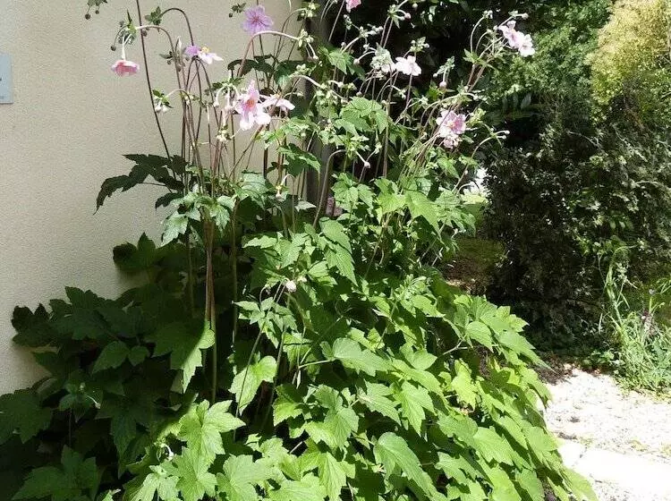 Aamiaismajoitus (B&B) Le Logis De La Brumanderie   Saintes