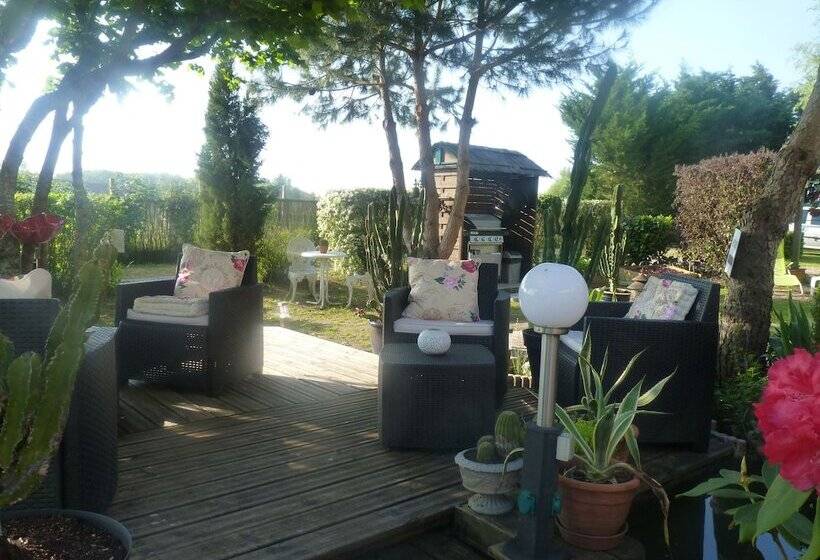 بنسيون L'arum Antique