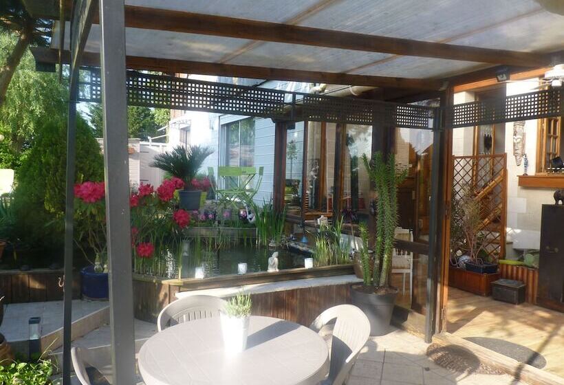 بنسيون L'arum Antique