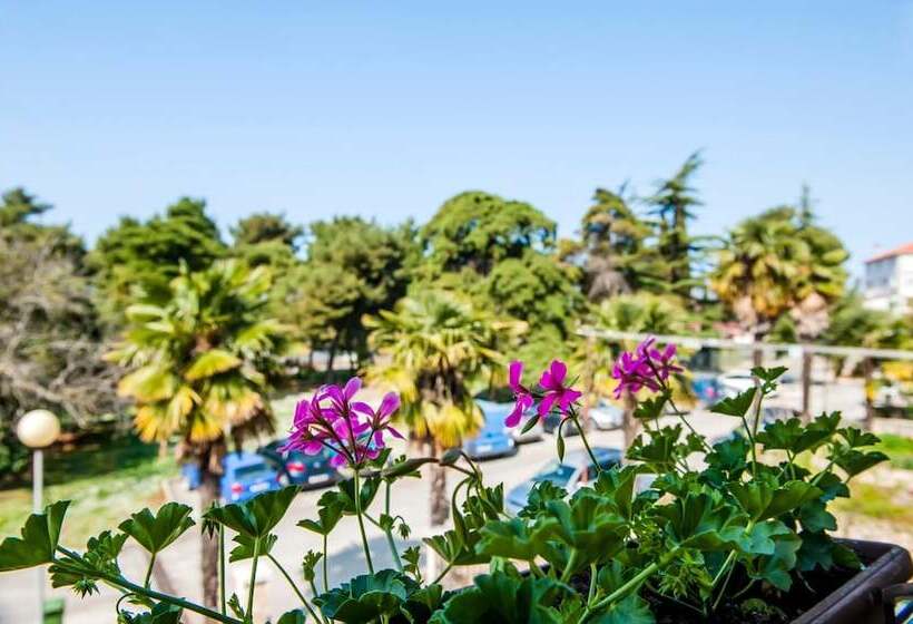 פנסיון Rooms Stefania