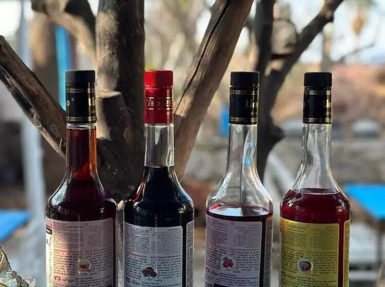 Retkeilymaja Eski Datça Pansiyon