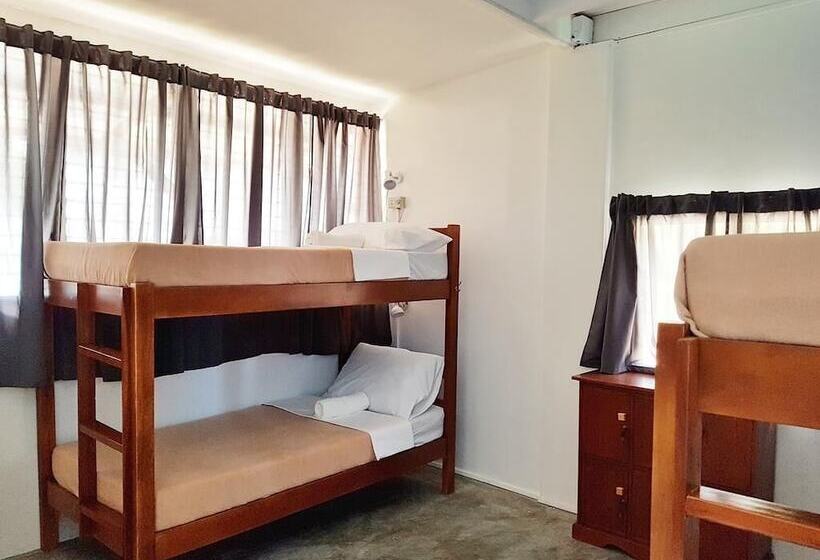 Bed Bunks And Beyond Hostel