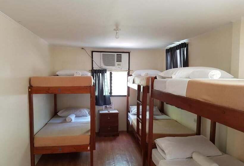 Bed Bunks And Beyond Hostel