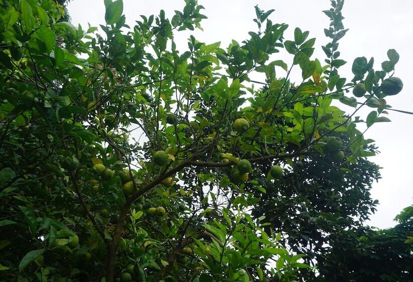 پانسیون Lightness Apartments Two Bedrooms And 2 Bathrooms