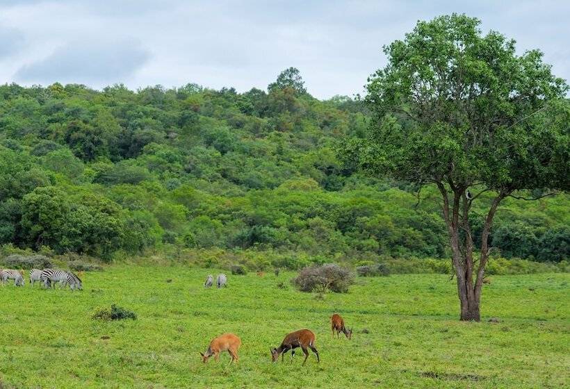 پانسیون Lightness Apartments Two Bedrooms And 2 Bathrooms