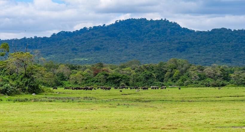 پانسیون Lightness Apartments Two Bedrooms And 2 Bathrooms