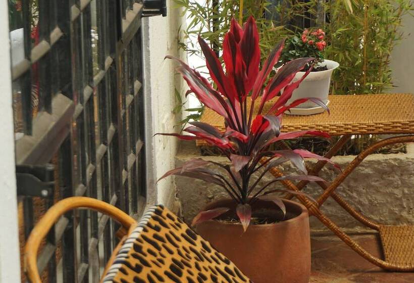 پانسیون Lightness Apartments Two Bedrooms And 2 Bathrooms