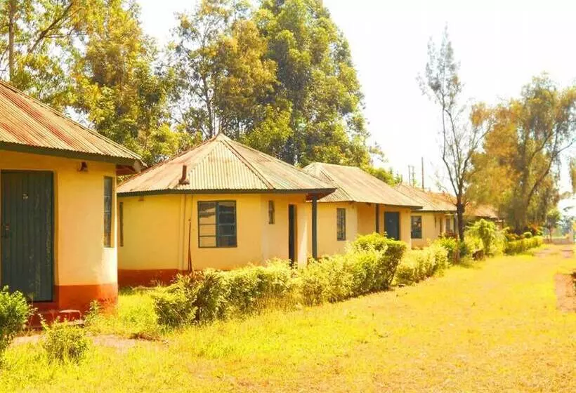 پانسیون Trailer Safari Inn