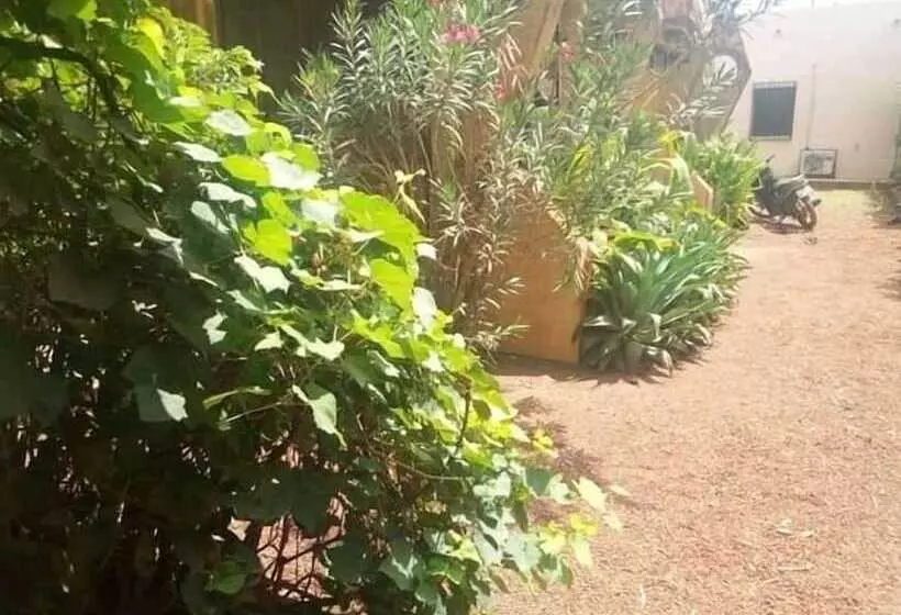 پانسیون Universal Trade