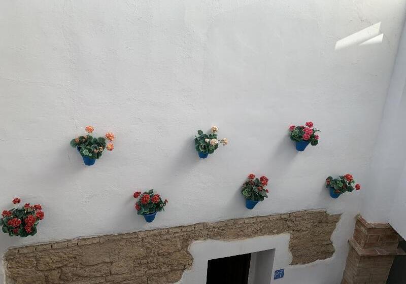 پانسیون Belmonte Rooms