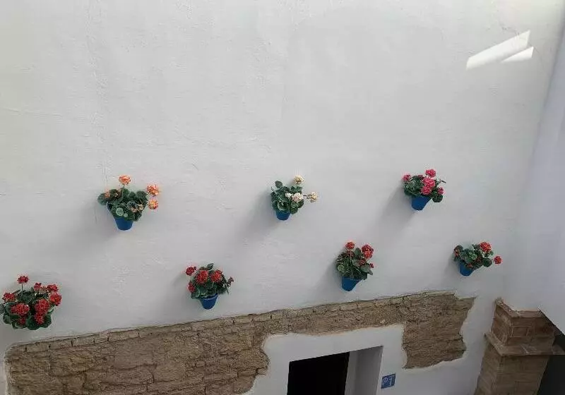 پانسیون Belmonte Rooms