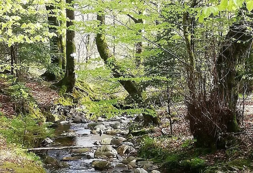 L écrin De Masevaux