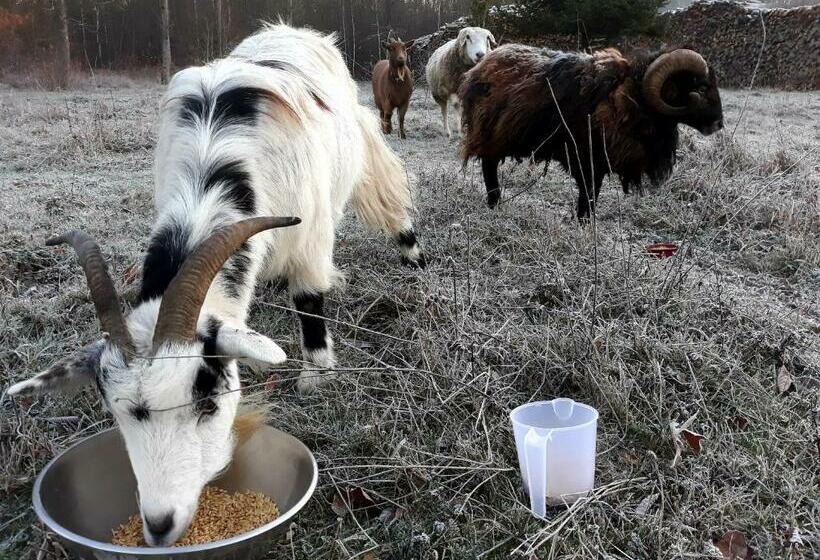 פנסיון Chambres D Hôtes La Bourbelle