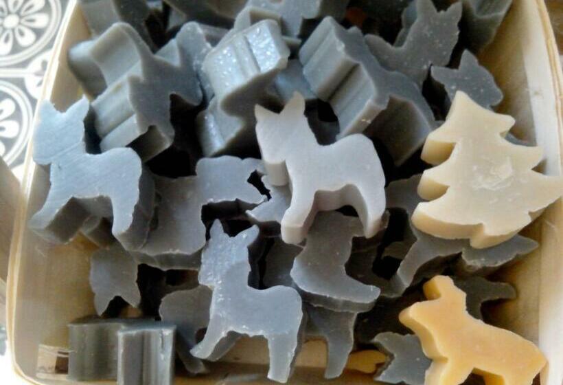 פנסיון Chambres D Hôtes La Bourbelle