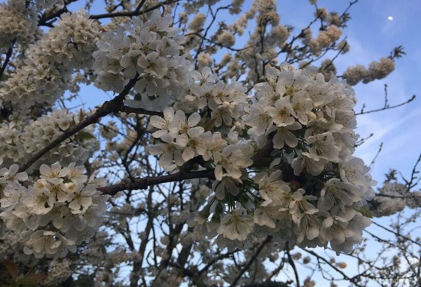 ペンション Jolie Halte Normande