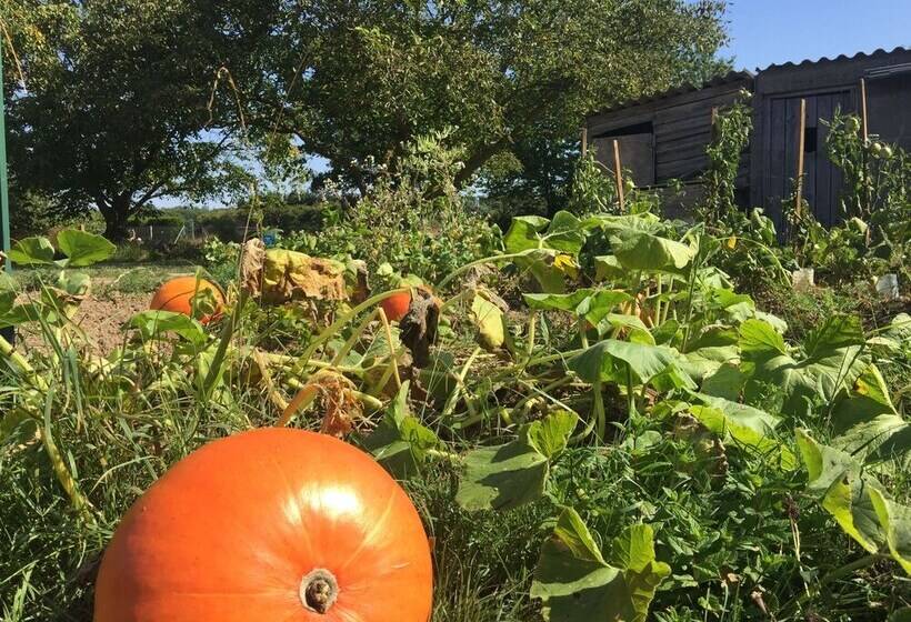 ペンション Jolie Halte Normande