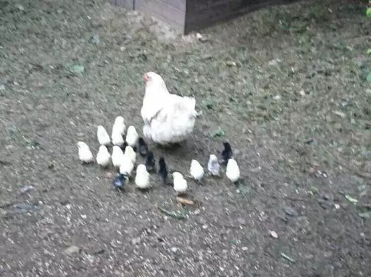 ペンション Maison Des Figues