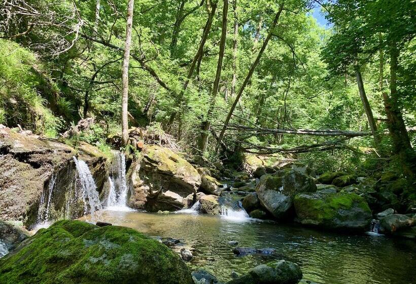 ベッドアンドブレックファースト Chambres D Hôtes Le Lepadou Bas