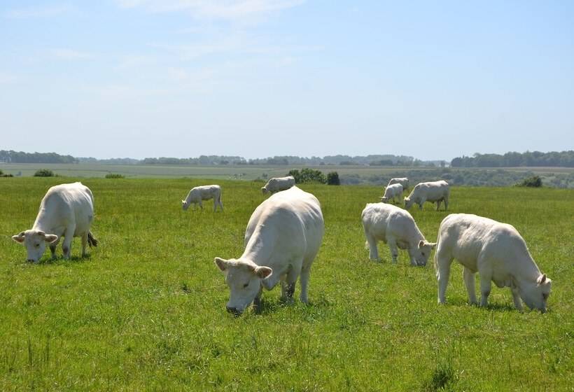 Bed and Breakfast Rando Yourte