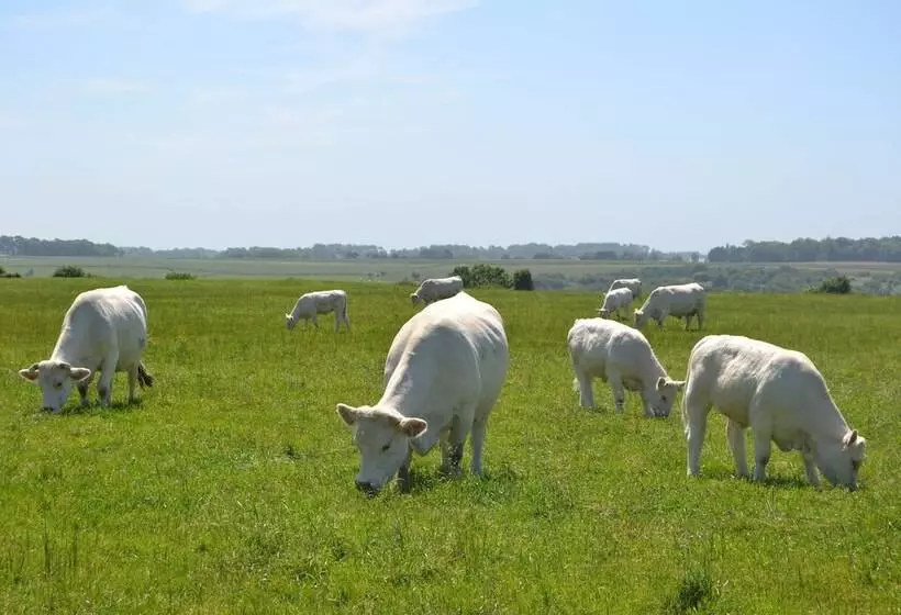 Aamiaismajoitus (B&B) Rando Yourte