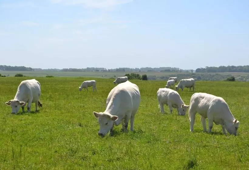 Aamiaismajoitus (B&B) Rando Yourte