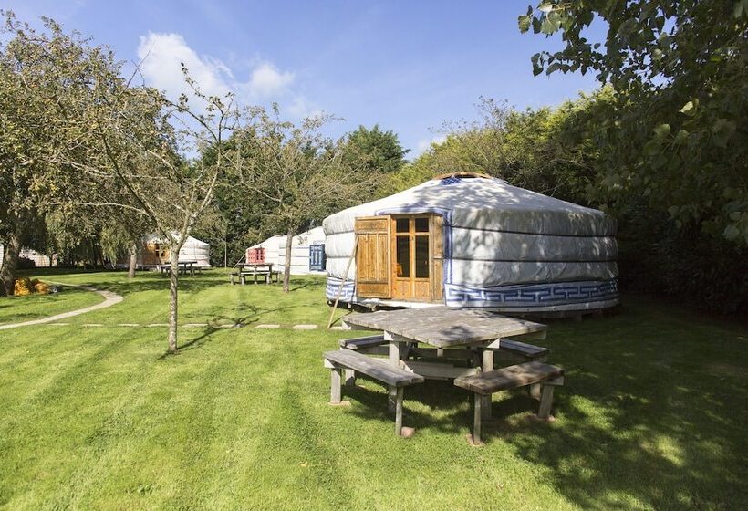 Bed and Breakfast Rando Yourte