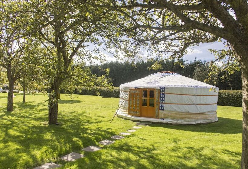 Bed and Breakfast Rando Yourte