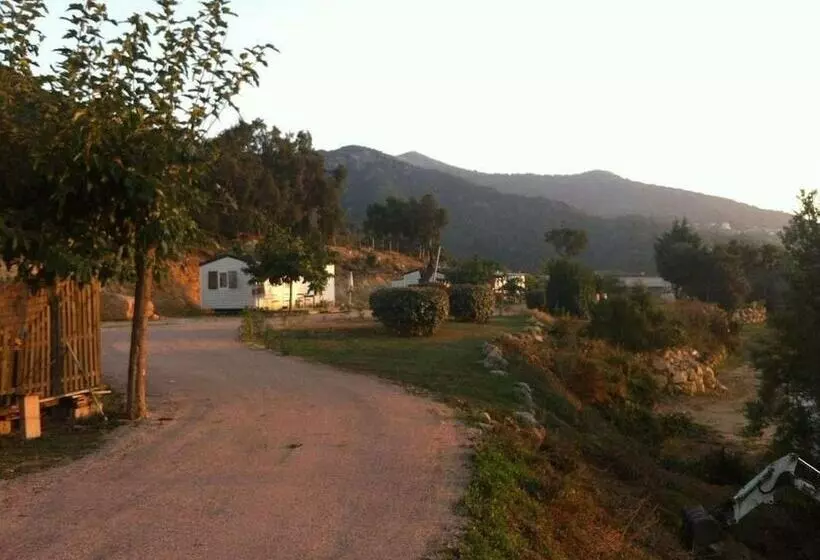 Hotelli Mobile Home A Saliva