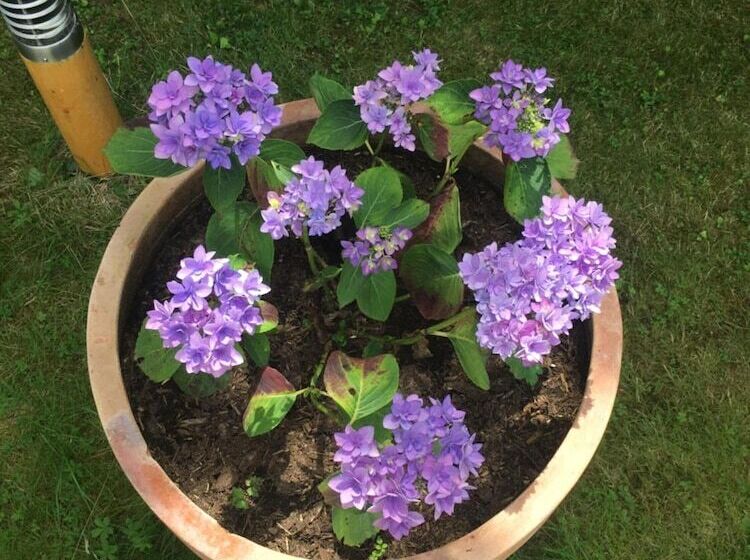 ペンション Chez Françoise Et Michel Piscine