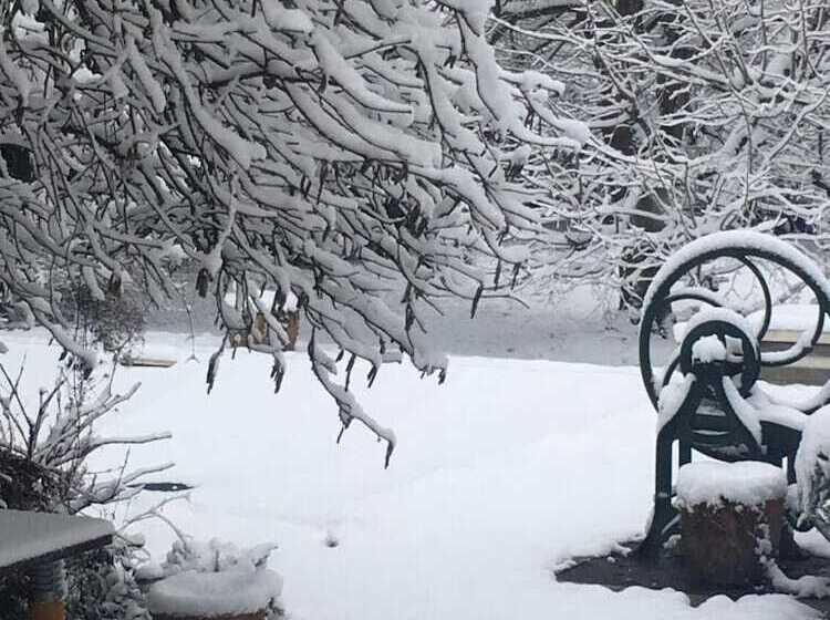 ペンション Chez Françoise Et Michel Piscine